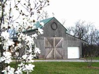 BarnMagnolia3.jpg