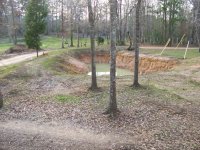 2-16-09 Rye grass sprouting up.jpg