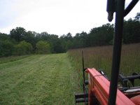 IMG_3316.jpg