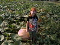 pumpkins 2.jpg
