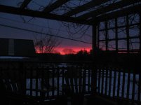 IMG_0002.jpg