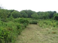 IMG_4392smallfile.jpg