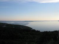 IMG_1874.jpg