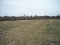 landing-strip (8).JPG