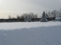 IMG_0684 [800x600].JPG