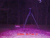 Front feeder Jan 109.jpg