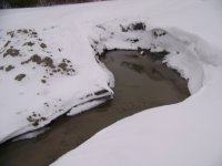 pond6 9 18 07.jpg
