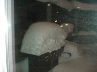 DSCF0011.JPG