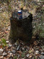 IMG_3358.jpeg