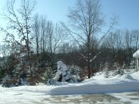 DSCF0027.JPG
