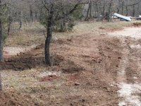 GardenPrep-02.jpg
