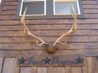 Sign 009 (Small).jpg