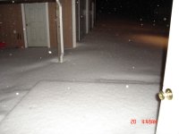 snow 12:20-1.JPG
