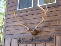 Deer Blind 170 (Small).jpg