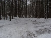 12-20-08 snow 006.jpg