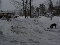 12-20-08 snow 005.jpg