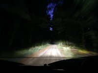 IMG-20240921-WA0014.jpg