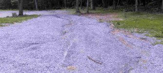 289023-Driveway 1.JPG
