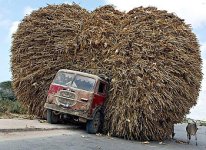 332957-TRUCK.jpg