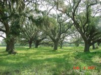 289432-suncreek Ranch historic home lot1.jpg