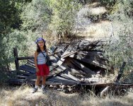 33-70313-BridgeOut.jpg