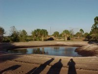 333577-pond5.16.jpg