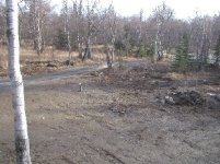 241417-FrontYard.JPG