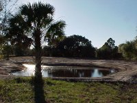 333578-pond5-14.JPG