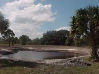 333877-pond6-3.jpg
