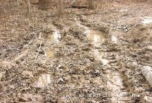 242182-muck_left.JPG