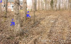 242185-hill_after.JPG
