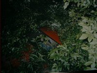 6-191834-IMG00003.jpg