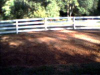 35-191996-lawn_install_8.jpg