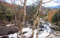 334443-Jackson Falls #5.jpg
