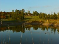 8-73199-pond3.JPG