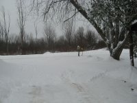 IMG_0476 [800x600].JPG