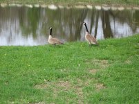 IMG_1243.jpg
