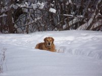 Max T V 006.jpg