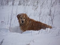 Max T V 024.jpg