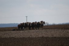 DSC_0090_1.jpg