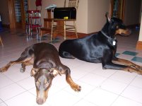 June 2008 024.jpg