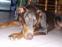 June 2008 023.jpg
