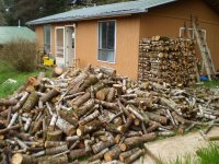 all the firewood.JPG