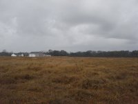 DSC01015.jpg