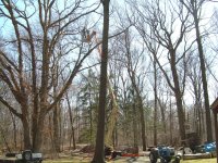 DSCN3597.JPG