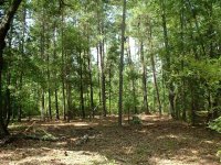 Eddie's pics03 153 (Small).jpg