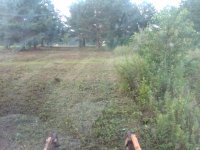 Bushhog in Action.jpg