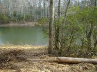 Picture 011 (Medium).jpg