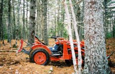 Timber_edited-1.jpg
