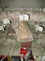 IMG_0281smallfile2009.jpg